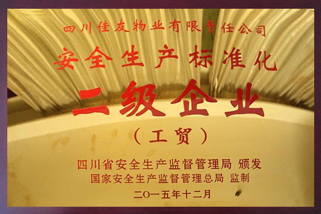 安全生產(chǎn)標(biāo)準(zhǔn)化二級(jí)企業(yè)